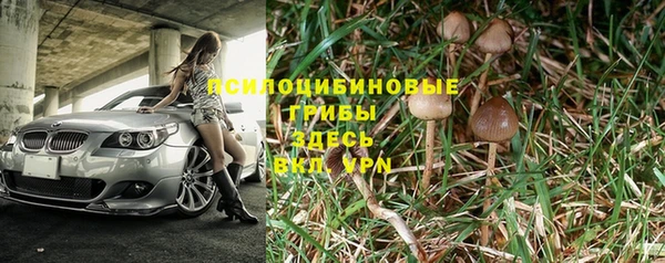 прущие грибы Абдулино