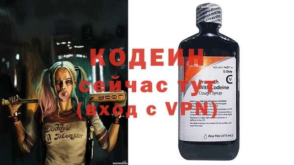 шишки Вяземский