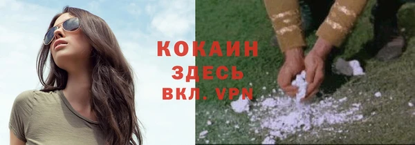стафф Абинск