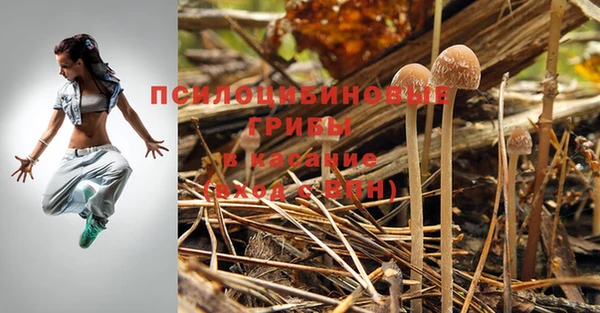 альфа пвп Кинешма