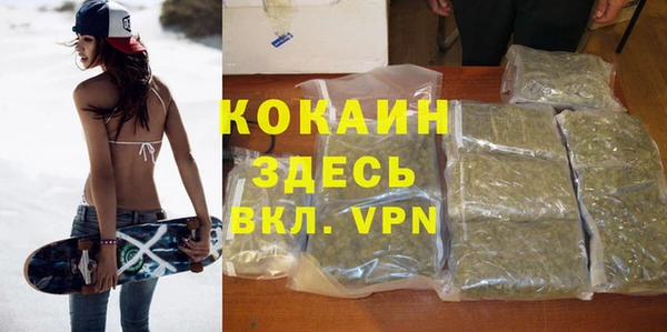 прущие грибы Абдулино