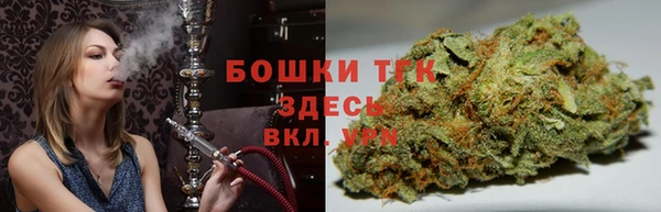 прущие грибы Абдулино