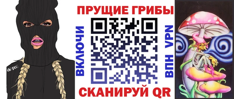 ссылка на мегу зеркало  Усмань  Псилоцибиновые грибы Magic Shrooms  даркнет сайт 